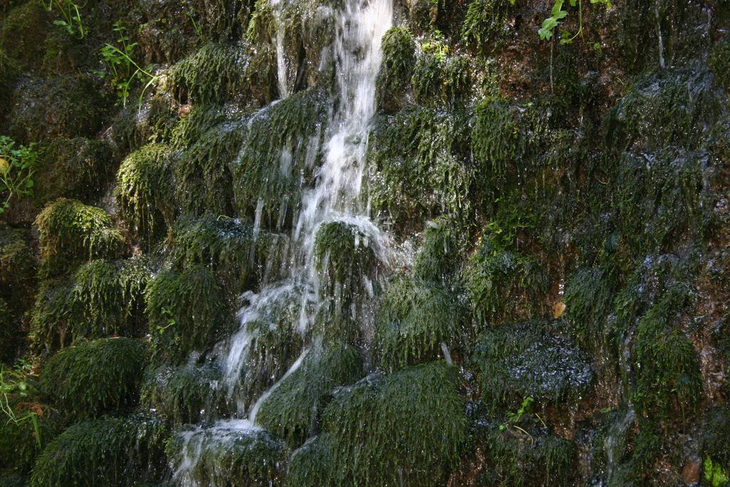 Alojamiento Rural Sierra De Gudar Valbona Dış mekan fotoğraf